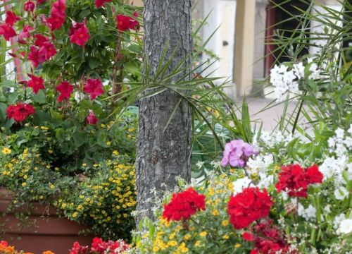 In dem Spanischen Garten im HANSA-PARK stehen Töpfe mit Blumen in verschiedenen Farben.