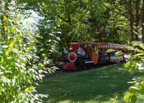 Der HANSA-PARK-Express unterwegs durch den Hansegarten mit Gästen. Ein Reise über eine grüne Wiese.