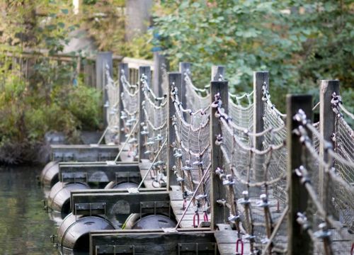 Die Schwimm- und Wackelbrücke seitlich. Man Ufer stehen ein paar Bäume.