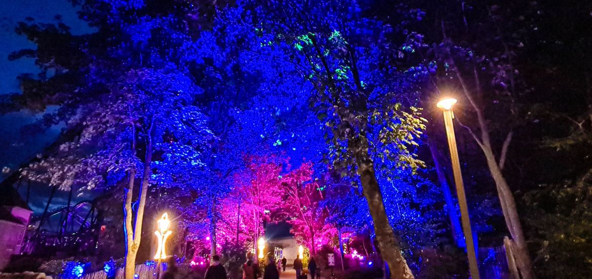 Die Baumkronen des Weges Richtung Fondaco die Tedeschi sind von unten blau und rosa angestrahlt.