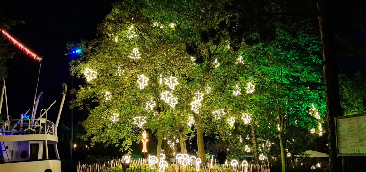 In den Bäumen einer Weggabelung hängen LED-Blätter. Diese erstrahlen in Weiß.