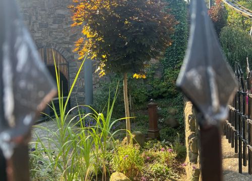 Hinter dem Zaun der Warteschlage Nessi sind viele Pflanzen zu finden.