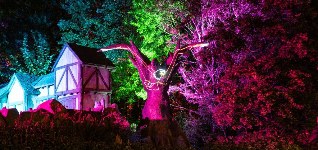 Auf dem Baum am Picknickplatz Roanoke ist ein Adler aus Licht projiziert.