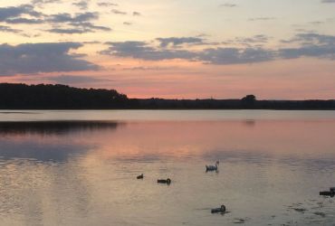 Das Neustädter Binnenwasser im Sonnenuntergang. Schwäne sind auf dem Wasser.