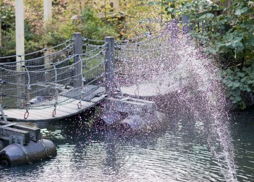 Die Schwimm- und Wackelbrücke im Hintergrund. Eine Wasserfontäne im Vordergrund.
