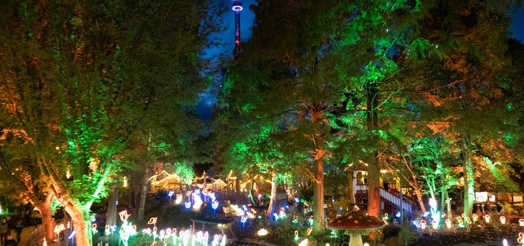 Die LED-Blumen und die Bäume der Blumenmeerbootsfahrt sind hell erleuchtet. Der HIGHLANDER auch.