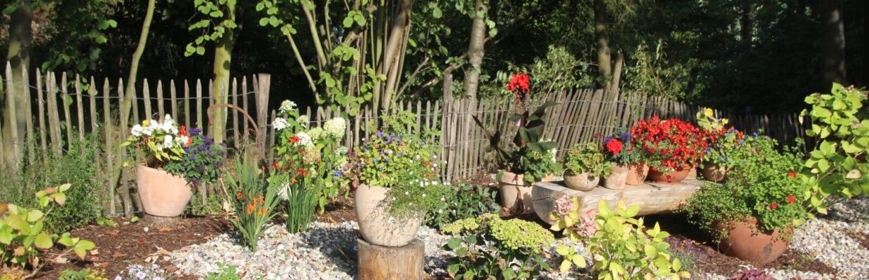 Auf einer Bank und auf Holzstümpfen stehen Blumentöpfe in einem Beet.