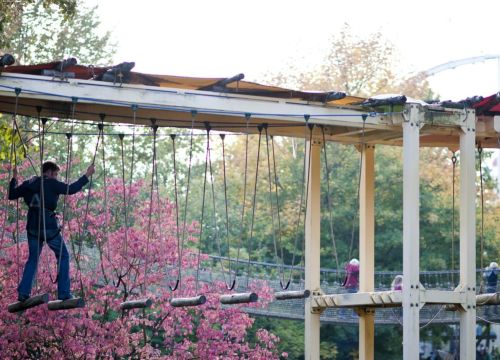 Ein Mann ist im Hochseilgarten Navajo Trail. Er geht über schwingende Baumstämme.