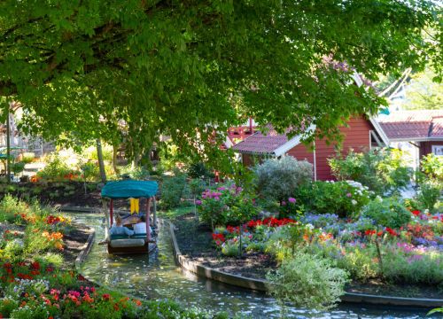 Ein Boot der Attraktion Blumenmeer-Bootsfahrt fährt durch die bunten und blühenden Sommerblumen.