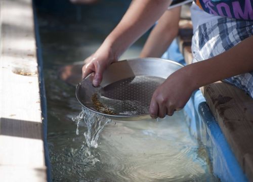 Eine Schale mit kleinen Goldstücken. Die Schale hat kleine Löcher. Zwei Hände halten die Schale.