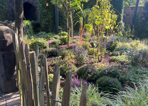 Die Beete in der Warteschlage der Achterbahn Nessi sind grün und lila bepflanzt.