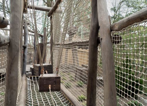 Die Wege der Attraktion Lost Trails of Roanoke hat unterschiedlich Untergründe.