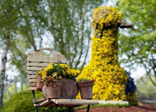 Auf der Anlage der Attraktion Blumenmeer-Bootsfahrt kann man viele Blumen Kreationen bewundern.