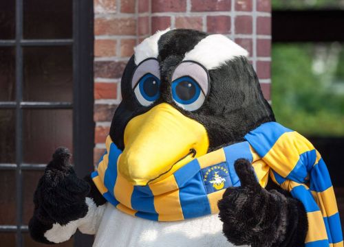 Das Maskottchen Pingi steht vor einem Gebäude. Er zeigt mit beiden Daumen nach oben.