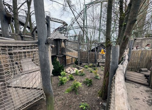 Die unterschiedlichen Wege der Attraktion Lost Trails of Roanoke. Die Wege sind aus Holz.