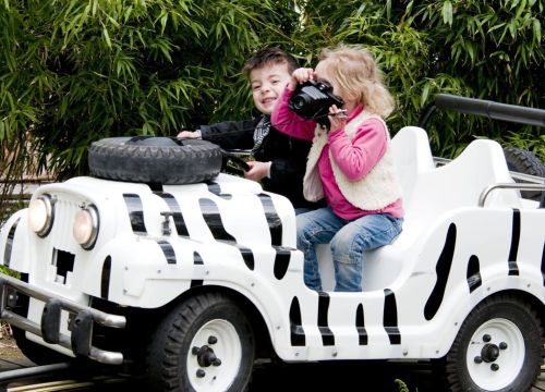 Zwei Kinder sind in einem Safari-Jeeps. Der Junge lenkt und das Mädchen hat den Fotoapparat.