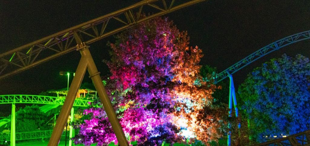 Ein Baum zwischen den Schienen des Schwur des KÄRNAN wird bunt angestrahlt.