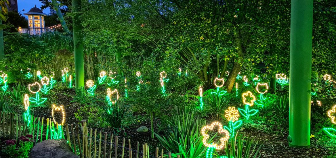 Die leuchtenden LED-Blumen des Herbstzauber am Meer. Diese findet man in HANSA-PARK.