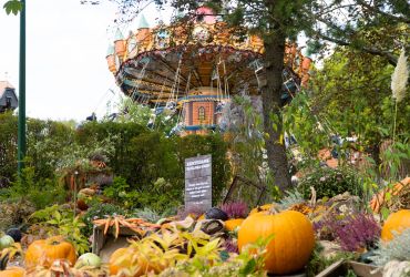 Ein Beet mit Stroh auf dem viel Gemüse und Blumen dekoriert sind. Dahinter der HANSE-Flieger.
