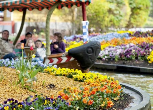 Ein Boot der Attraktion Blumenmeer-Bootsfahrt fährt zwischen vielen Frühlingsblumen durch.