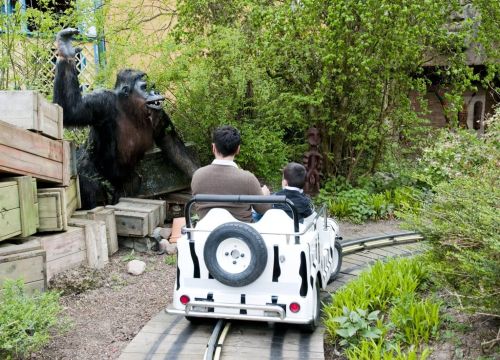 Ein Jeep der Attraktion Safari-Jeeps fährt an einem Gorilla vorbei. Der Jeep hat ein Zebra Muster.