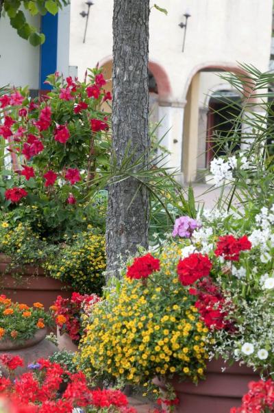 In dem Spanischen Garten im HANSA-PARK stehen Töpfe mit Blumen in verschiedenen Farben.