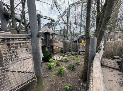 Die unterschiedlichen Wege der Attraktion Lost Trails of Roanoke. Die Wege sind aus Holz.