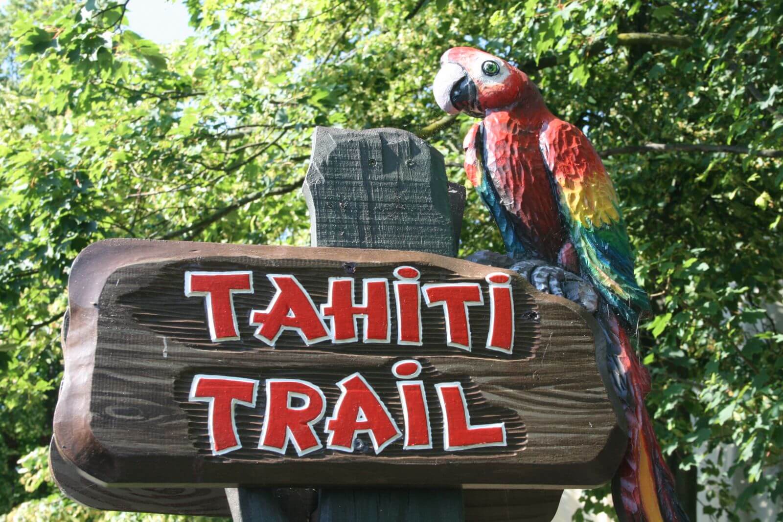 Das Schild zum Tahiti Trail. Auf dem Schild sitzt ein Papagei. Dieser ist aus Holz.