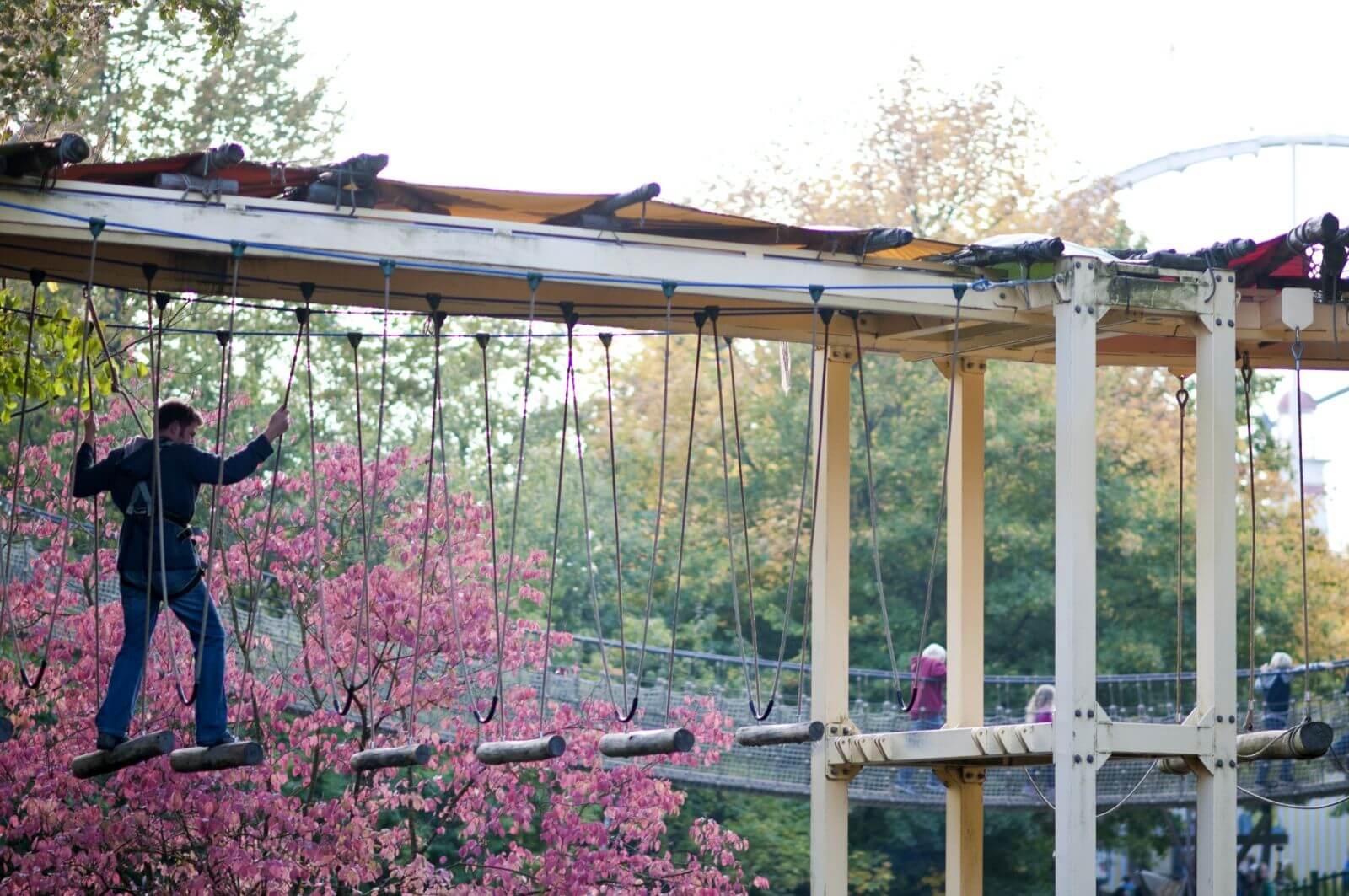 Ein Mann ist im Hochseilgarten Navajo Trail. Er geht über schwingende Baumstämme.