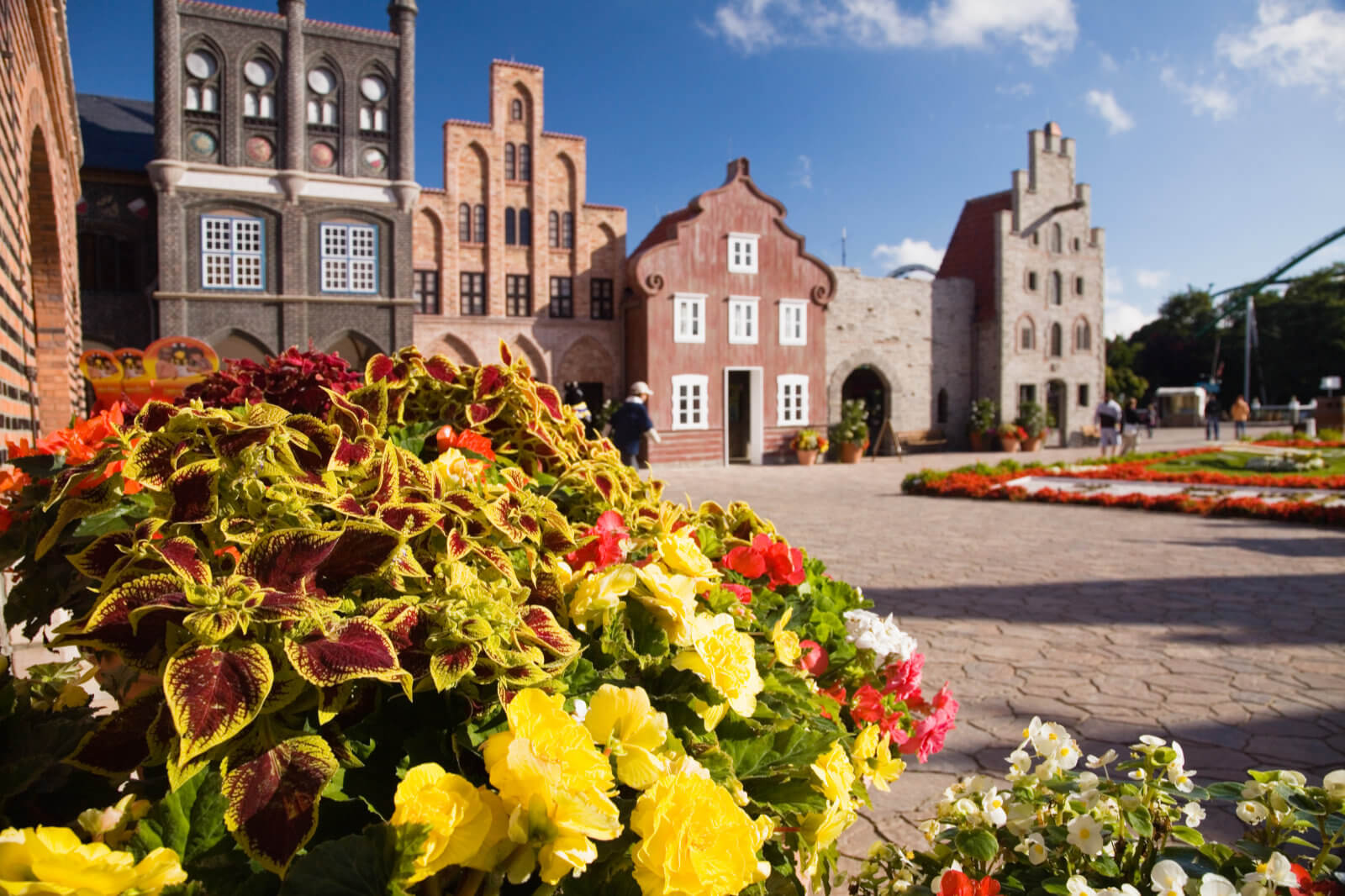 Blick auf die Arcaden aus Rostock und Visby. Ein bepflanzter Topf mit Blumen im Vordergrund.