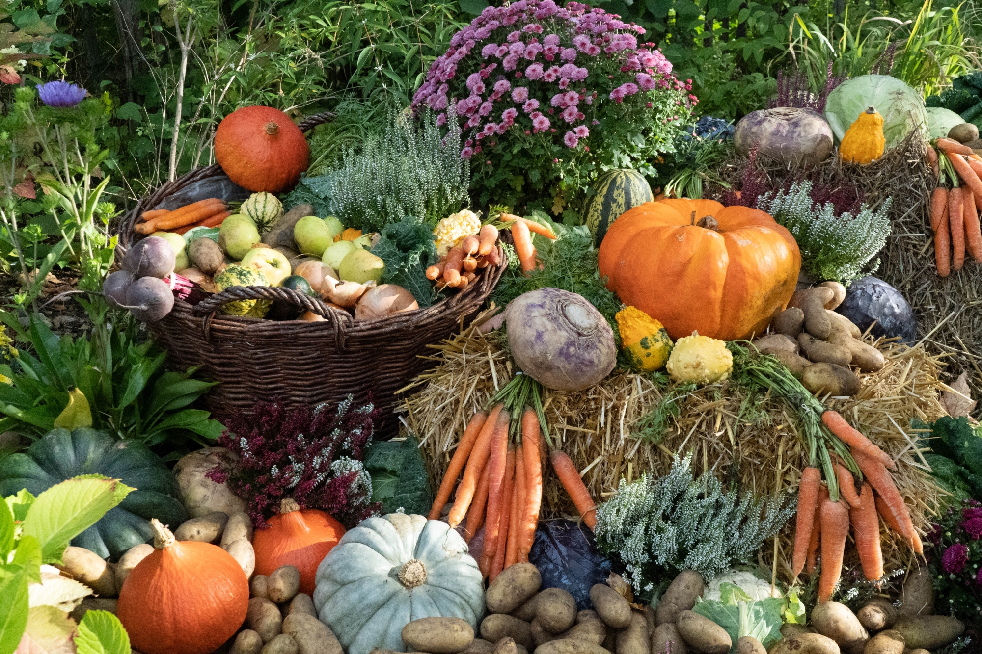 Ein Beet mit Stroh auf dem viel Gemüse und Blumen dekoriert sind. Auch ein Weidenkorb ist gefüllt.