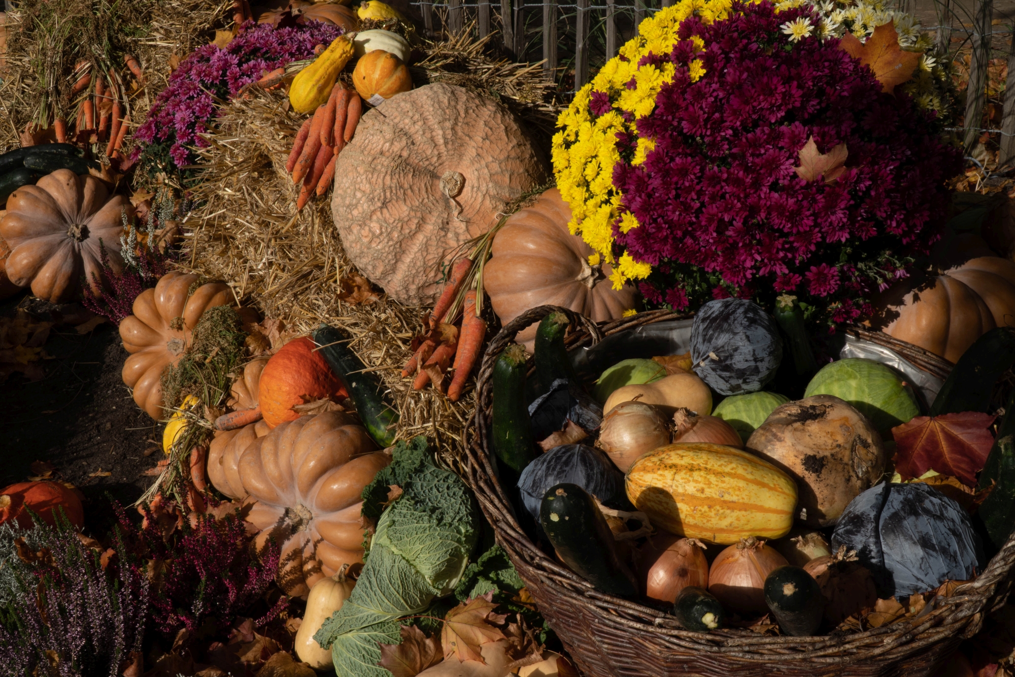 Ein Beet mit Stroh auf dem viel Gemüse und Blumen dekoriert sind. Auch ein Weidenkorb ist gefüllt.