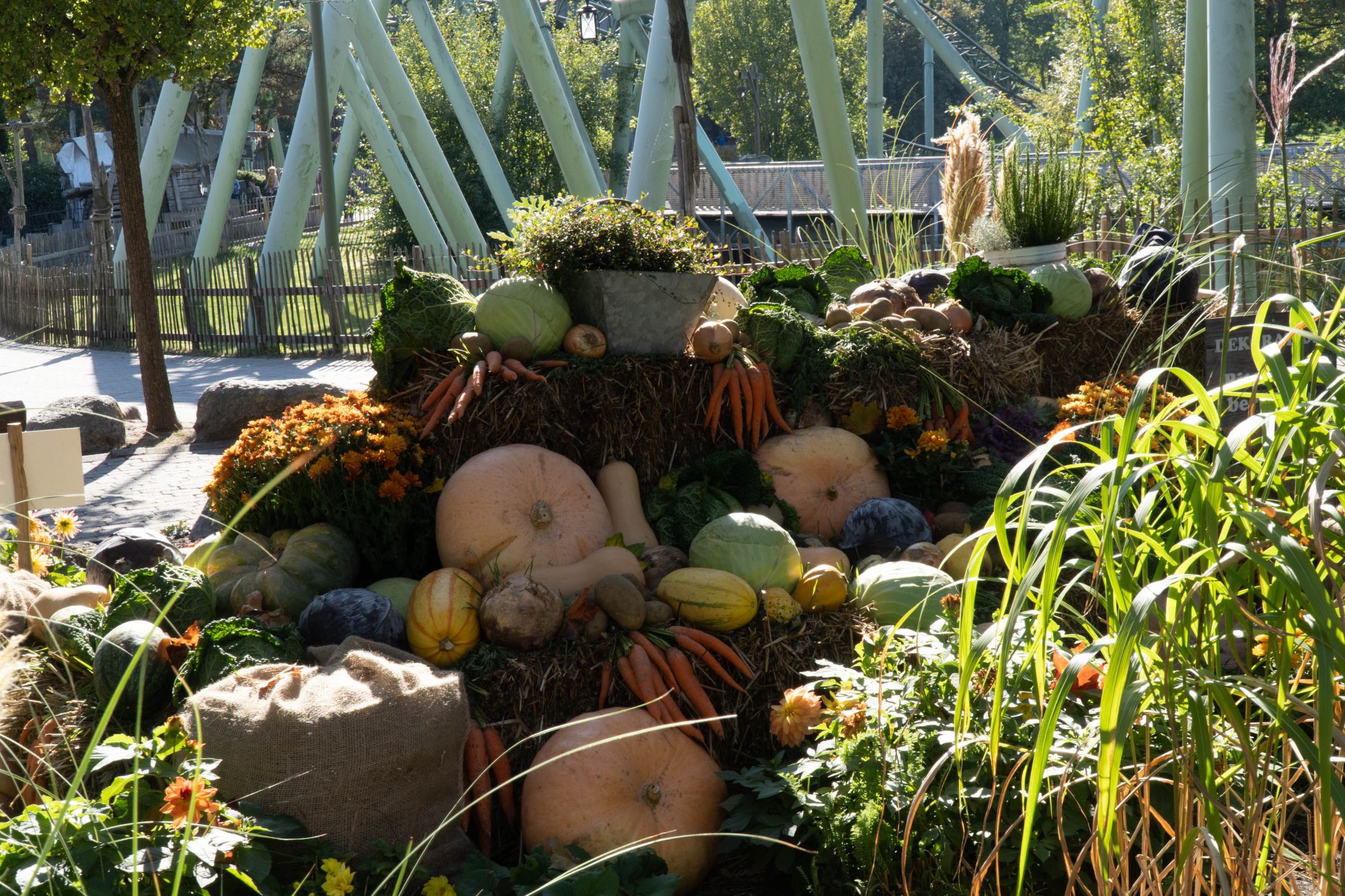 Erntedankbeet im Wikingerland