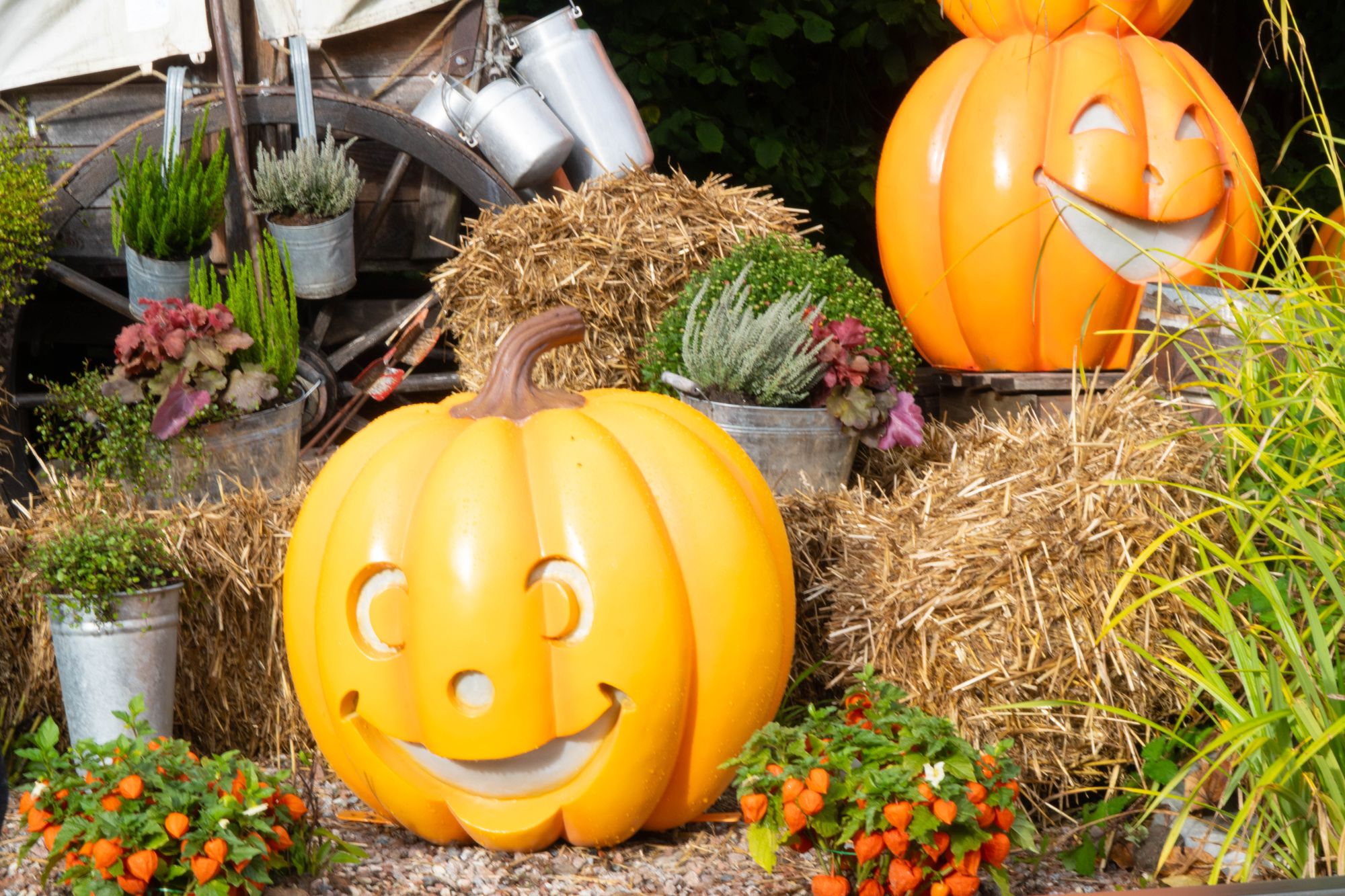 Kürbisse zwischen Strohballen und Blumentöpfen