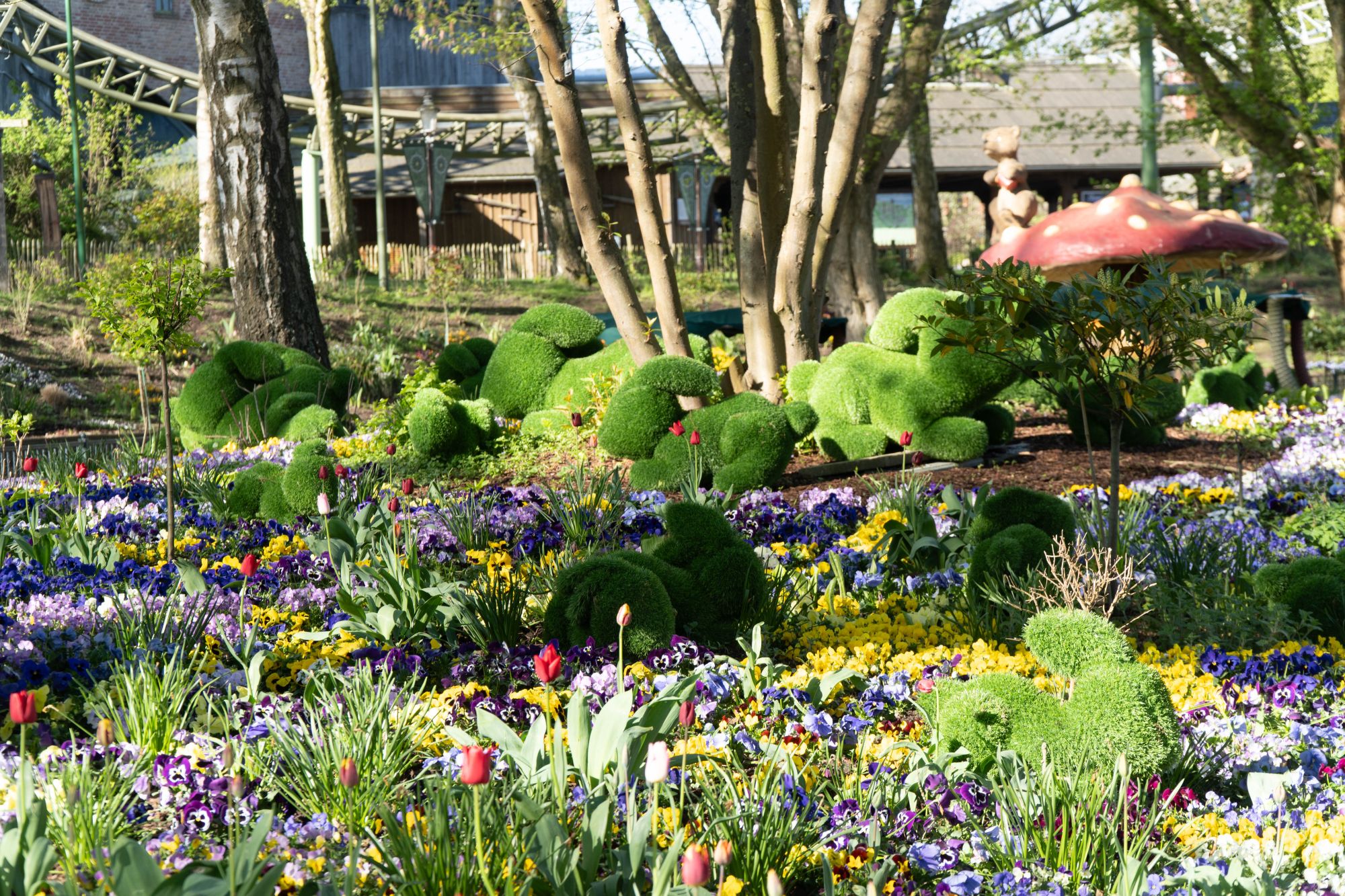 Ganz viele grüne Rasenhasen sind zwischen den Frühjahrsblumen versteckt.