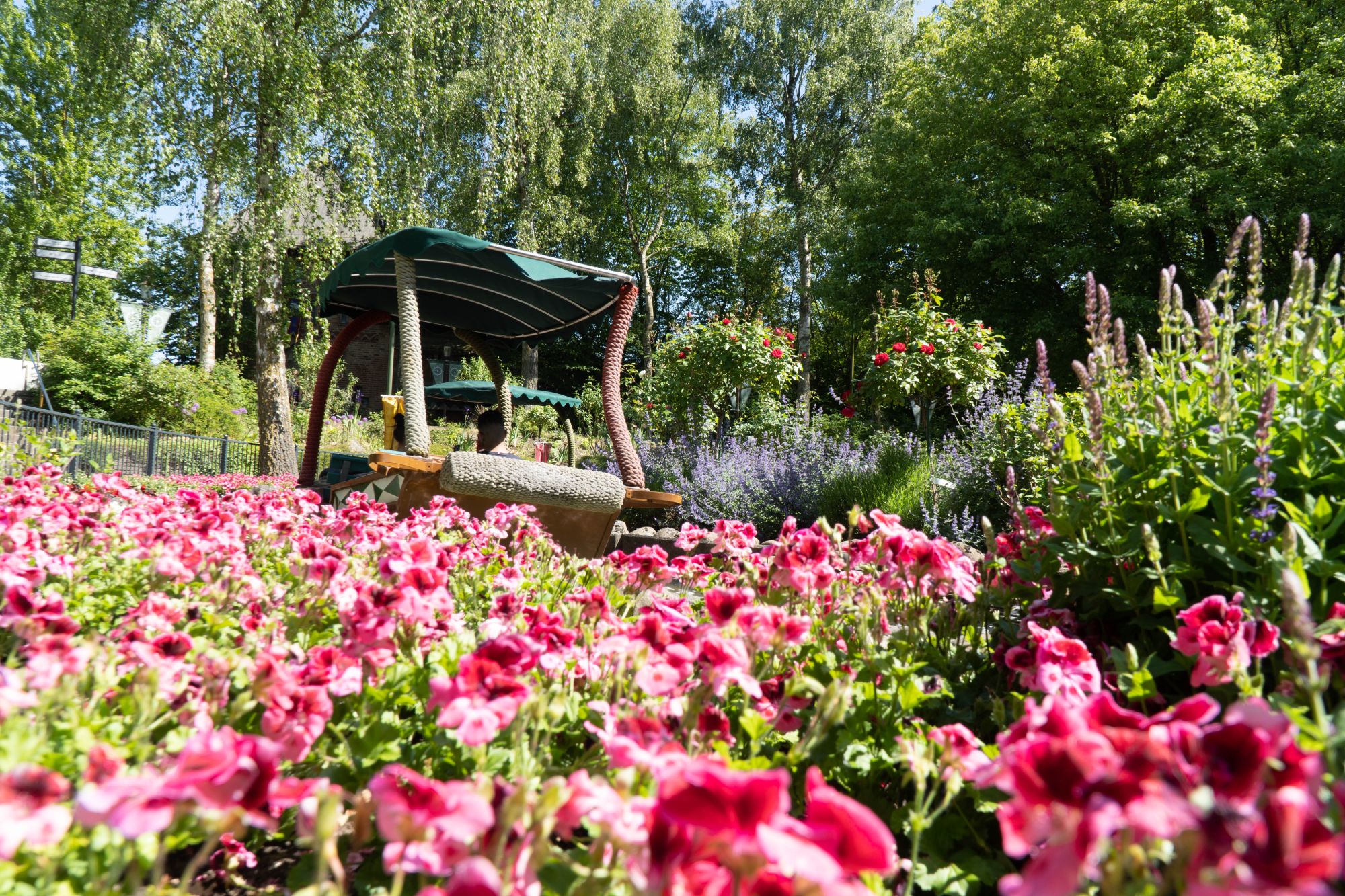 Ein Boot der Blumenmeerbootsfahrt fährt durch Sommerblumen wie Lavendel, Petunien und Rosen.