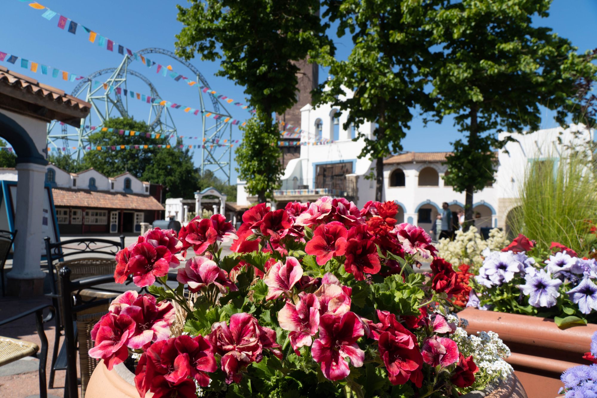 Ein Topf mit Petunien. Im Hintergrund ist der Plaza del Mar und der Schwur des KÄRNAN.
